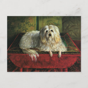 Carte Postale Animaux de compagnie vintages, Chien de chien de c