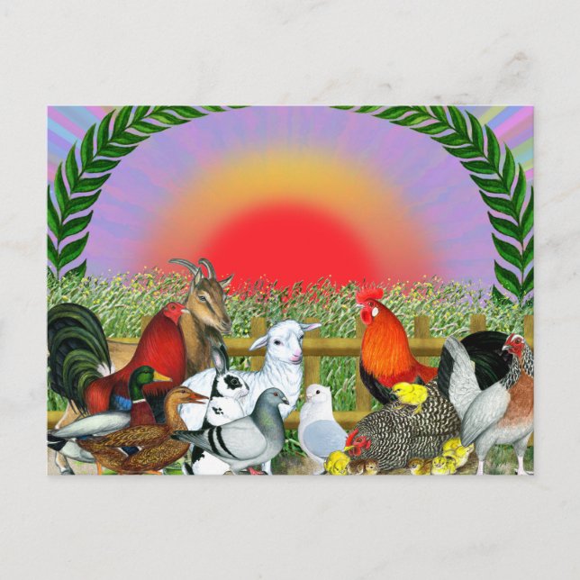 Carte Postale Animaux de ferme (Devant)