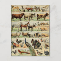 Animaux de ferme de style vintage