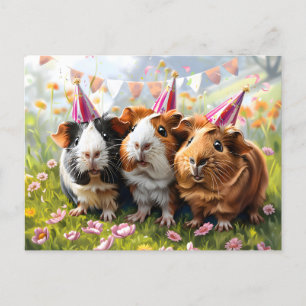 Carte Postale Animaux de fête - 3 Cochons de Guinée