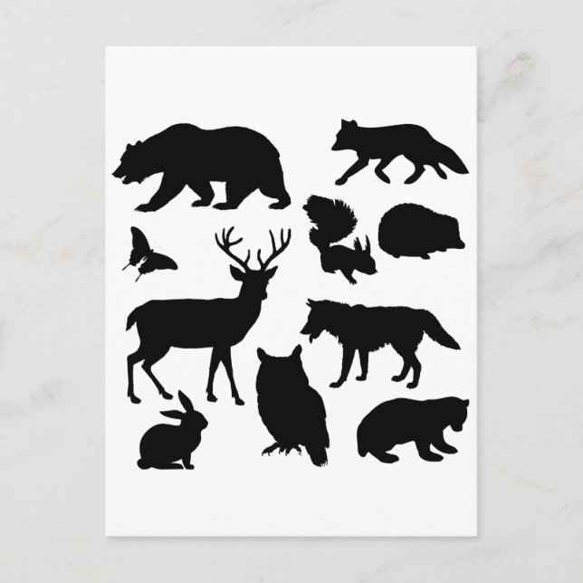 Carte Postale Animaux De La Forêt, Faune (Devant)