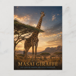 Carte Postale Animaux de la savane de la girafe maasaï