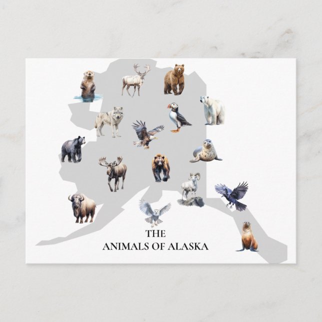 Carte Postale Animaux de l'Alaska Amérique du Nord (Devant)