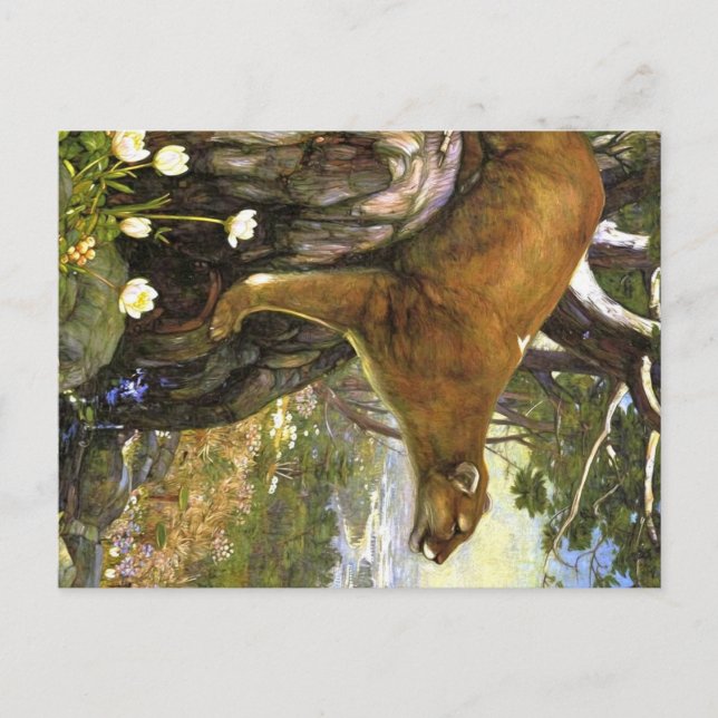 Carte Postale Animaux des Appalaches (Devant)