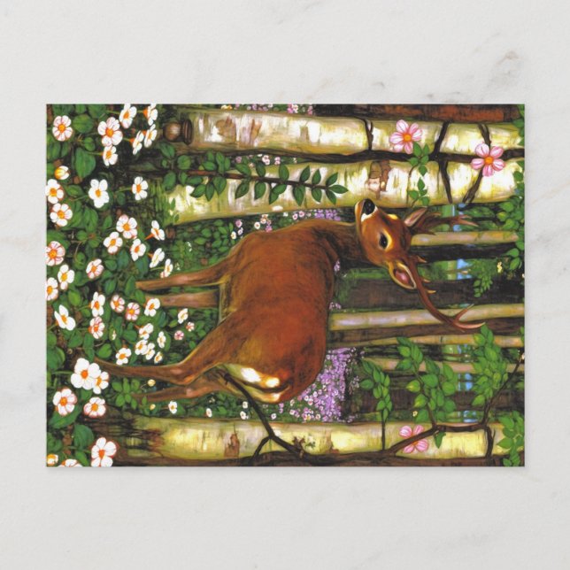 Carte Postale Animaux des Appalaches (Devant)