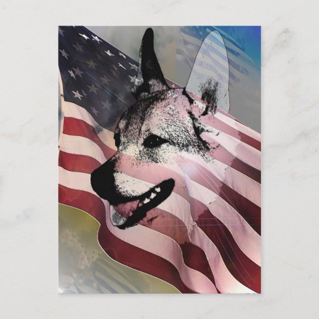 Carte Postale Animaux domestiques et animaux domestiques secouru (Devant)