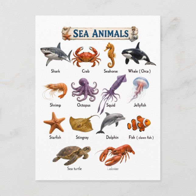 Carte Postale Animaux marins (Devant)