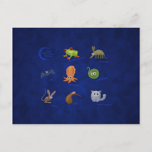 Carte Postale Animaux nocturnes