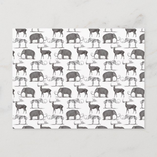 Carte Postale Animaux préhistoriques - Mammoth laineux et Megace (Devant)