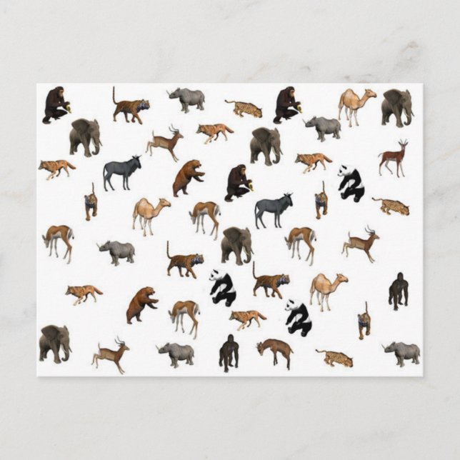 Carte Postale Animaux sauvages (Devant)