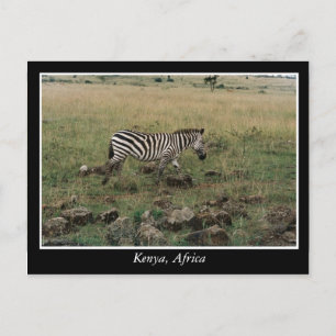 Carte Postale Animaux sauvages Afrique Kenya