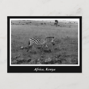 Carte Postale Animaux sauvages Afrique Kenya