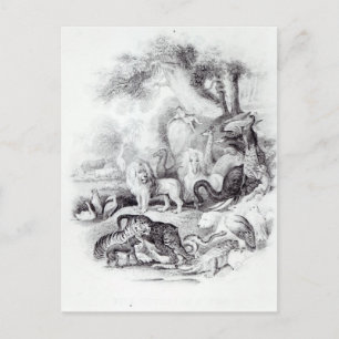 Carte Postale Animaux sauvages de 'Une histoire de la Terre