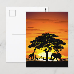 Carte Postale Animaux sauvages sur le coucher de soleil de la sa