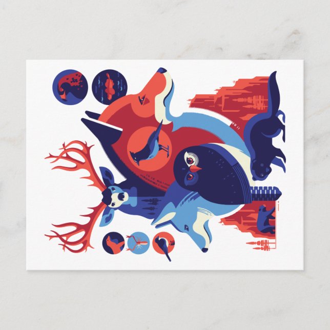 Carte Postale Animaux Sauvages V.06 (Devant)