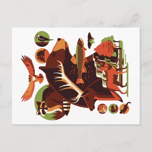 Carte Postale Animaux Sauvages V.07 (Devant)