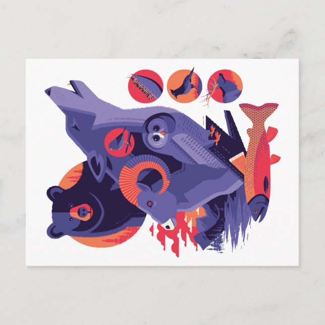Carte Postale Animaux Sauvages V.12 (Devant)