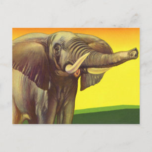 Carte Postale Animaux sauvages vintages, éléphant africain au co