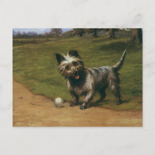 Carte Postale Animaux vintage chiens, chiot mignon Scottish Terr