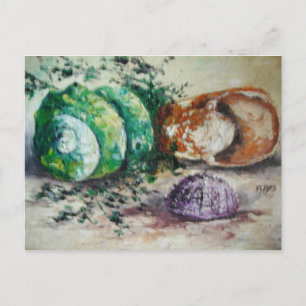 Carte Postale Ann Hayes Peinture Coques de mer