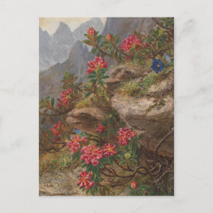 Carte Postale Anna Stainer-Knittel Fleurs alpines Vintages
