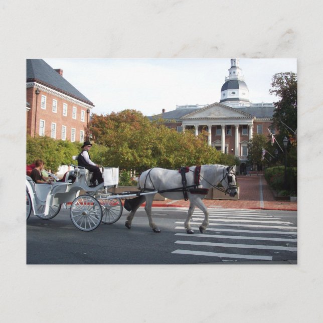 Carte Postale Annapolis Horse and Carriage Ride (Devant)
