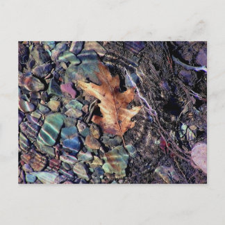 Carte Postale anneaux d'eau vive