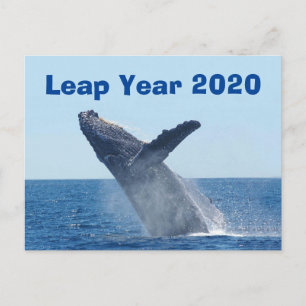 Carte Postale Année bissextile 2020