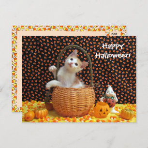 Carte Postale Annie's Curious Halloween Chat
