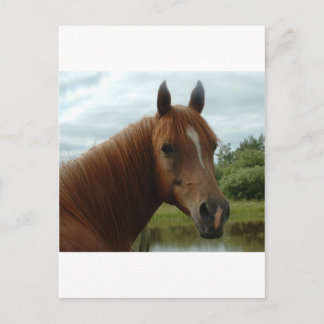 Carte Postale Anniversaire 012