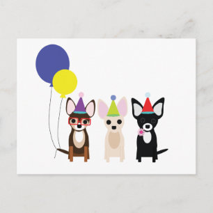 Carte Postale anniversaire-chihuahuas-stelieandco