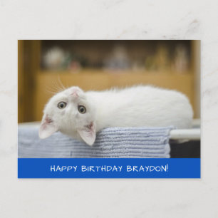 Carte postale Anniversaire Cute Chat Blanc