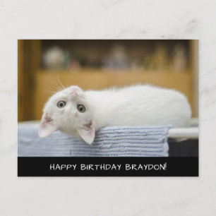 Carte postale Anniversaire Cute Chat Blanc