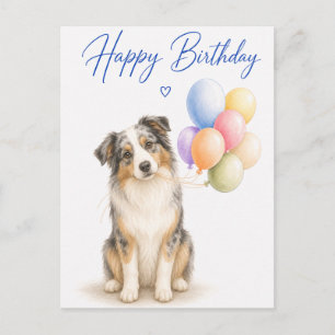 Carte Postale Anniversaire de Berger Australien