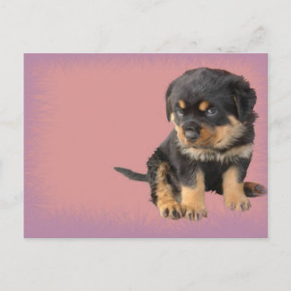 Carte Postale Anniversaire de Cute Rottweiler