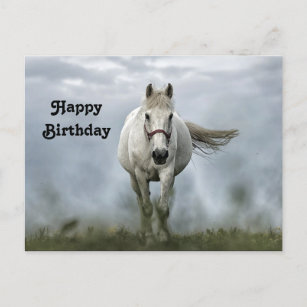 Carte Postale Anniversaire de la photo d'un joli Cheval blanc