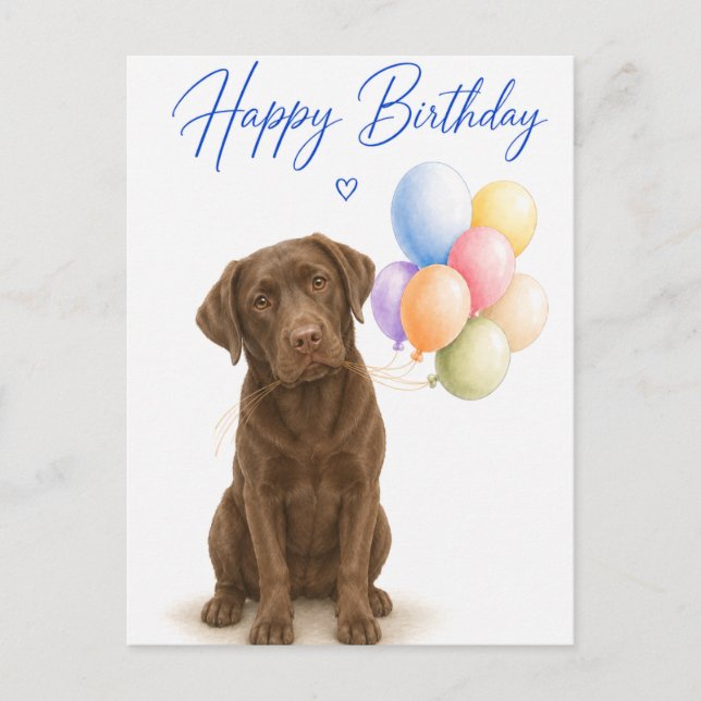 Carte Postale Anniversaire de Labrador Chocolat (Devant)