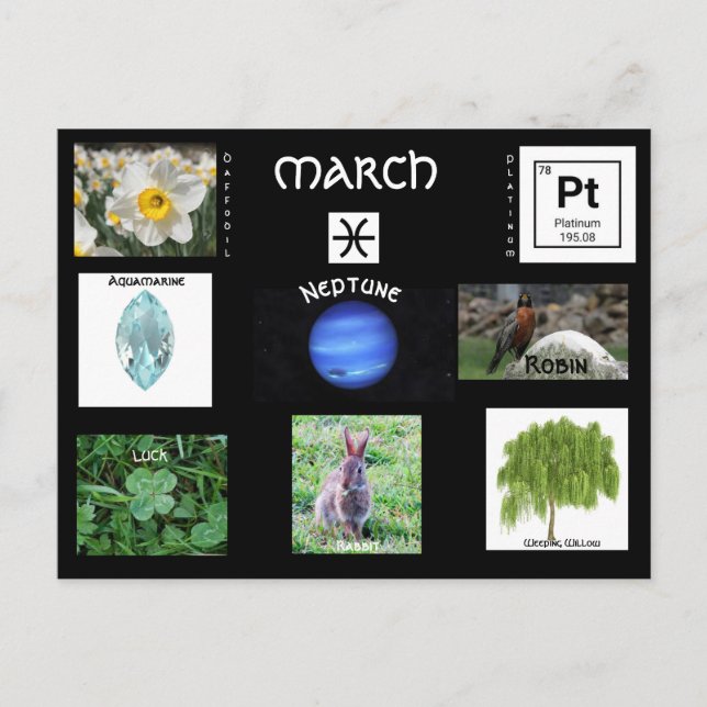 Carte postale Anniversaire de mars Pisces (Devant)