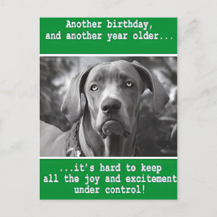 Carte Postale Anniversaire de naissance de photo de chien person