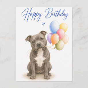 Carte Postale Anniversaire de Staffordshire Bull Terrier