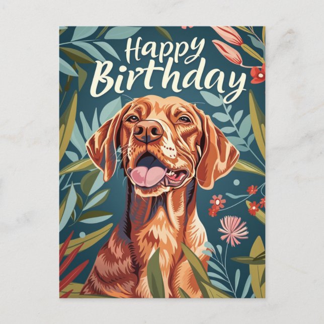 Carte Postale Anniversaire de Vizsla (Devant)