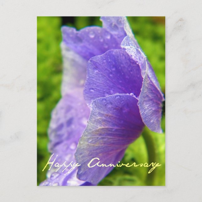 Carte Postale Anniversaire des fleurs violettes (Devant)