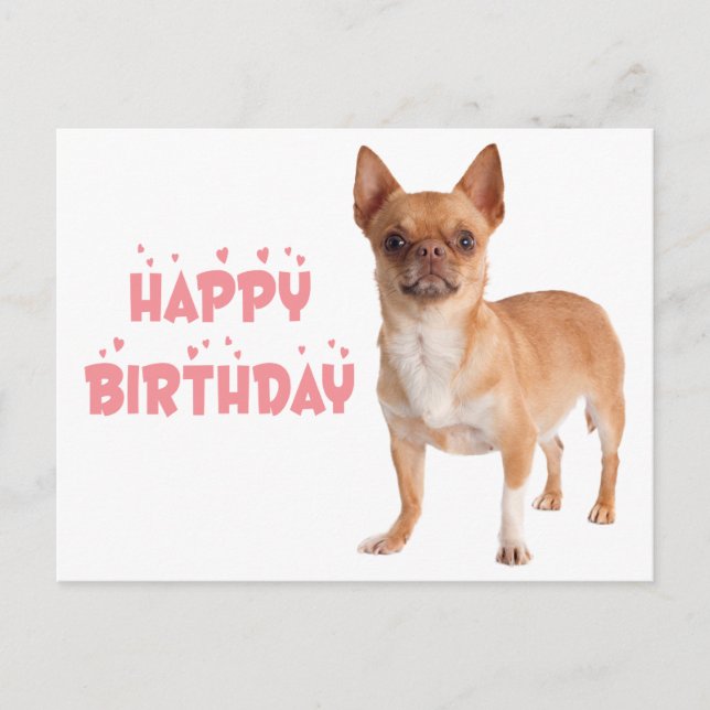 Carte Postale Anniversaire Drôle de Chihuahua de Chien de Puppy  (Devant)