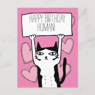 Carte postale Anniversaire du chat