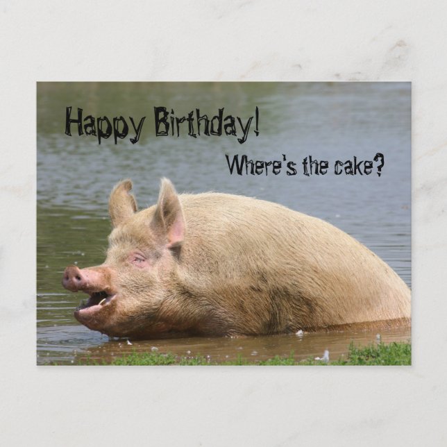 Carte Postale Anniversaire du porc (Devant)