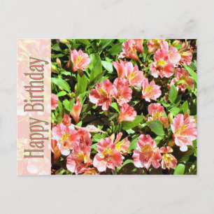 Carte Postale anniversaire heureux