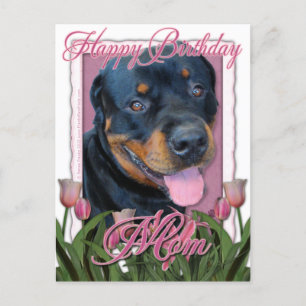 Carte Postale Anniversaire MOM - Tulipes roses - Rottweiler - Ha