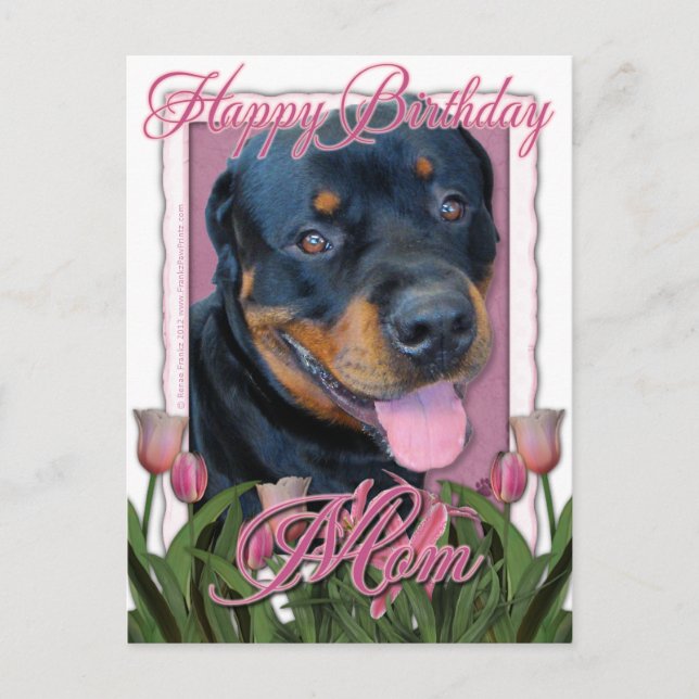 Carte Postale Anniversaire MOM - Tulipes roses - Rottweiler - Ha (Devant)