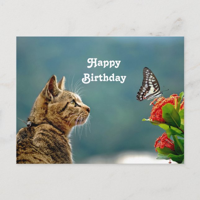 Carte Postale Anniversaire Photo Papillon Chat Tigre Mignon (Devant)