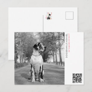 Carte Postale Annonce de chiots